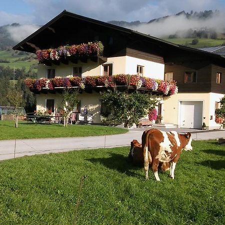 Rieserhof/Fam. Meissnitzer Taxenbach Exteriör bild