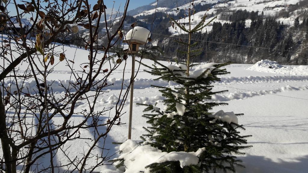 Rieserhof/Fam. Meissnitzer Taxenbach Exteriör bild