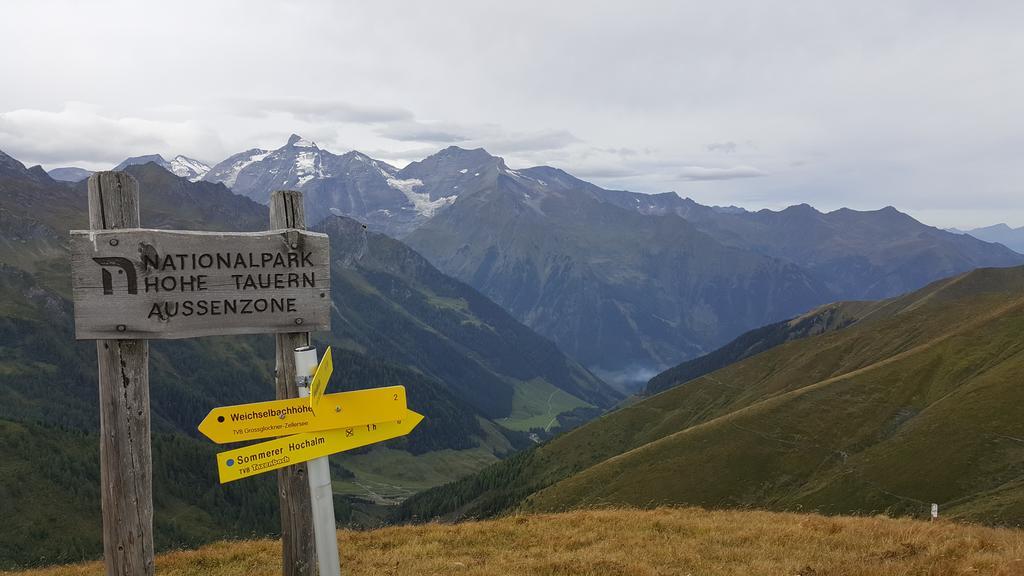 Rieserhof/Fam. Meissnitzer Taxenbach Exteriör bild