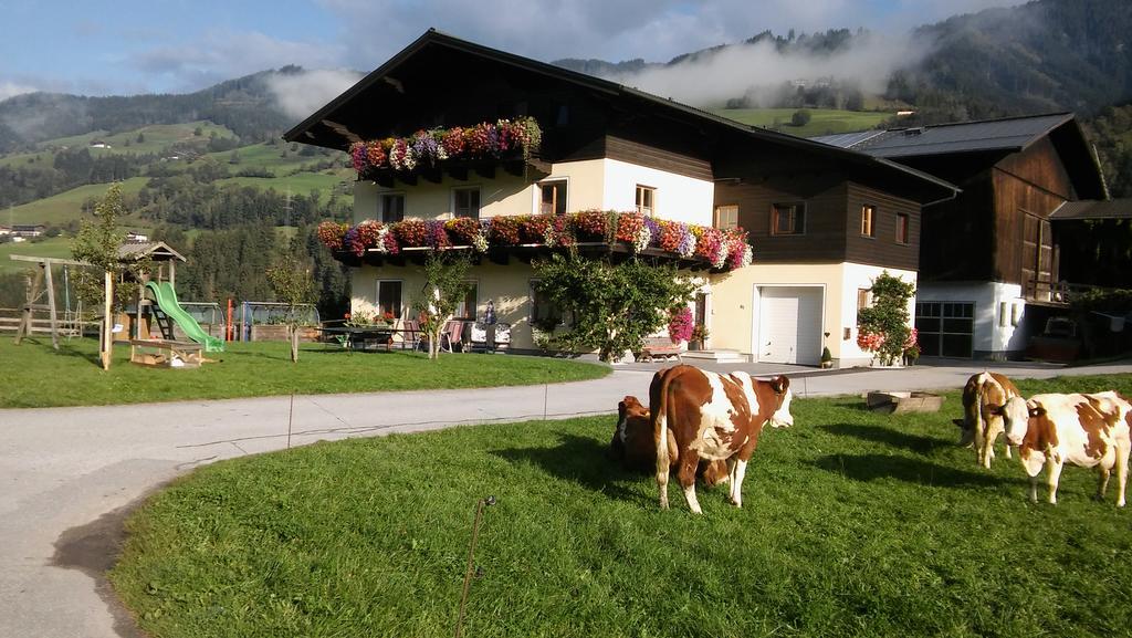 Rieserhof/Fam. Meissnitzer Taxenbach Exteriör bild