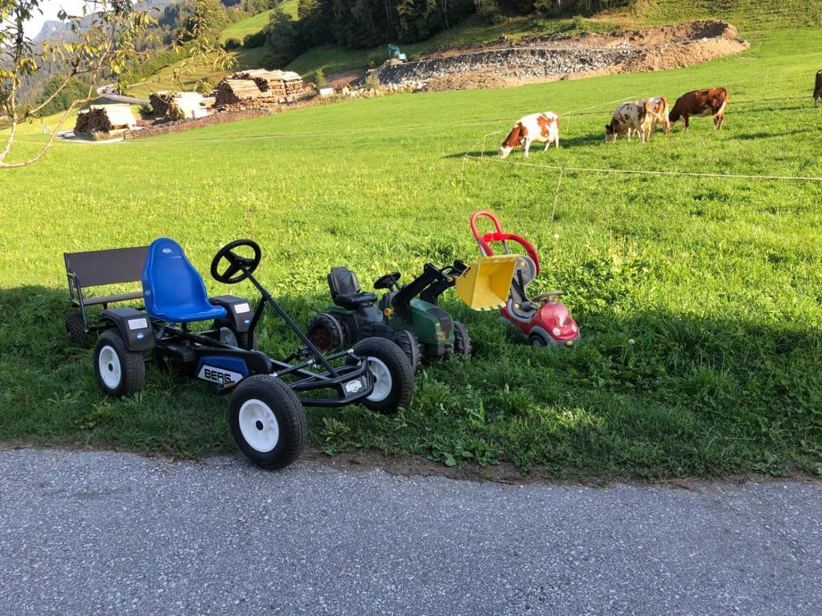 Rieserhof/Fam. Meissnitzer Taxenbach Exteriör bild