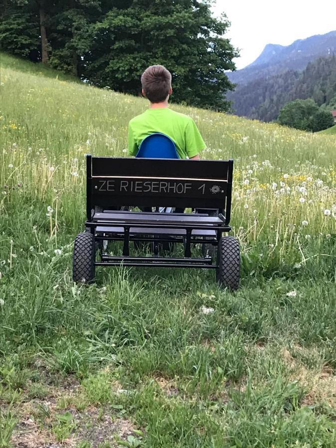 Rieserhof/Fam. Meissnitzer Taxenbach Exteriör bild